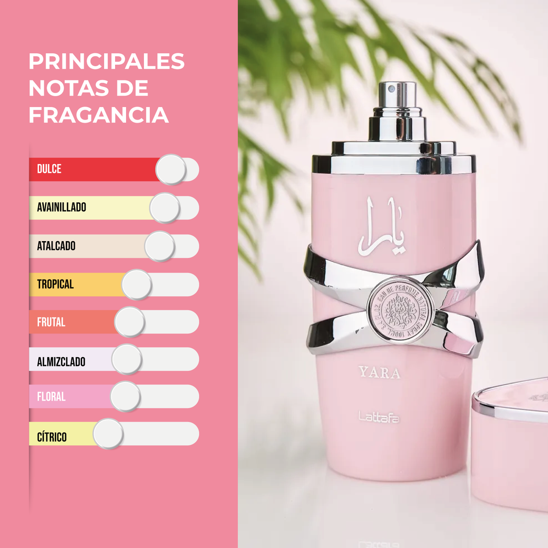 Lattafa Yara 100 ml | Cosméticos en Línea