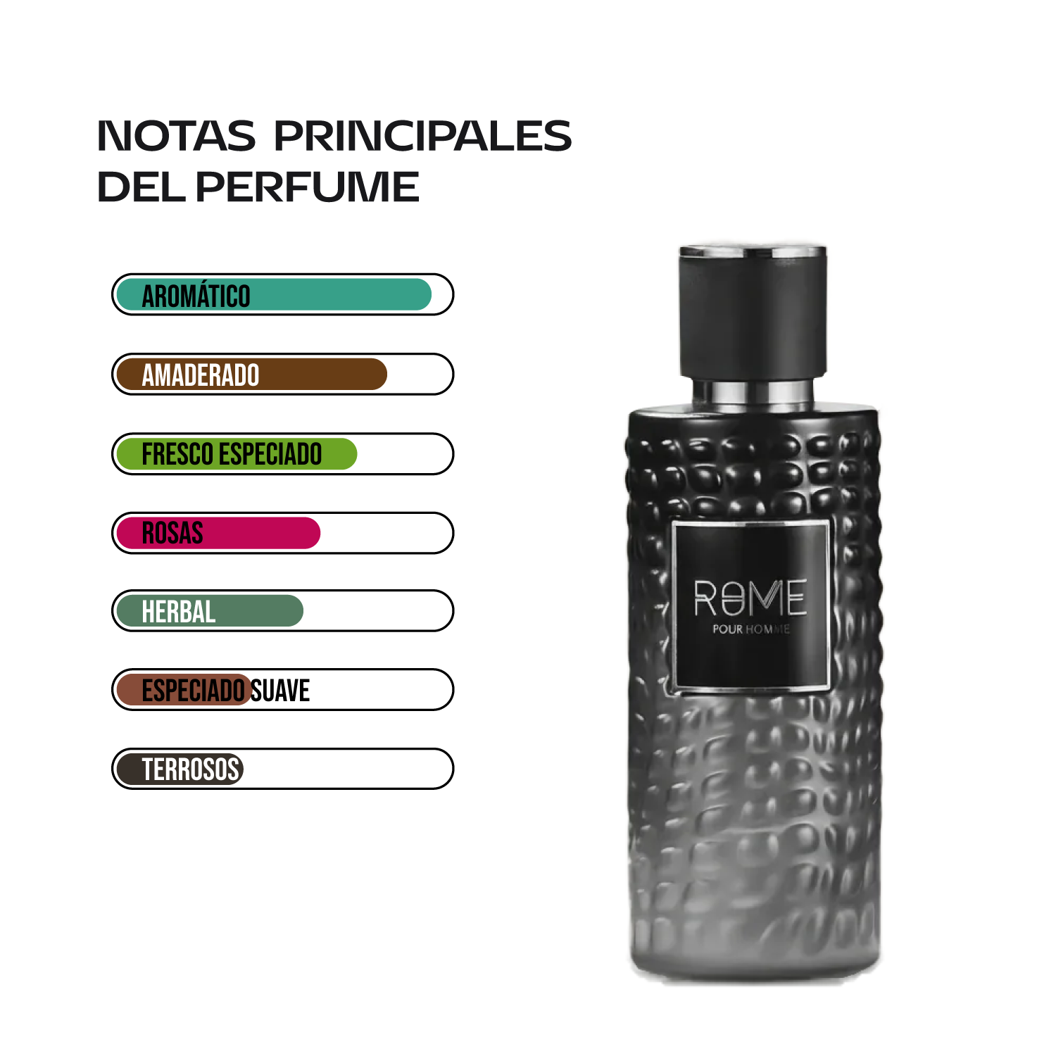 Mast Perfume Rome Pour Homme 100 ml | Cosméticos en Línea