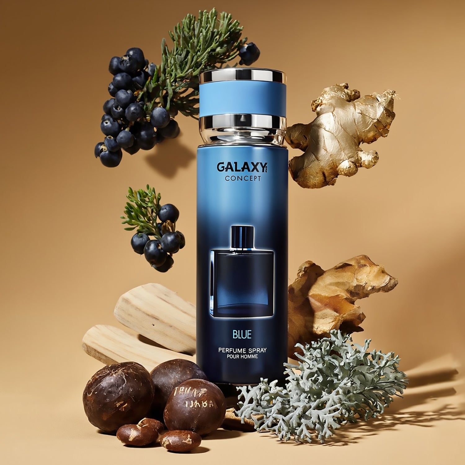 PERFUME EN SPRAY GALAXY BLUE 200ML